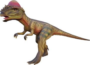 Pachycephalosaurus