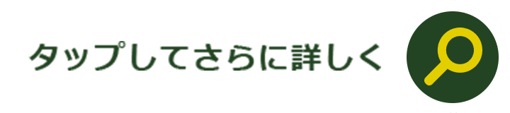 タップしてさらに詳しく