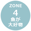zone04