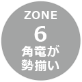 zone06