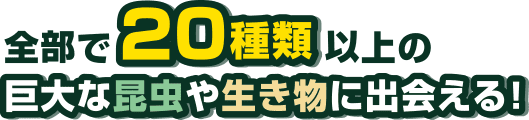 巨大昆虫が目の前に！電動トラムでラクラク周遊