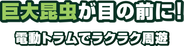 巨大昆虫が目の前に!電動トラムでラクラク周遊